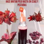 Tónico Capilar Natural de Flor de Jamaica: Fortalece, Estimula y Revitaliza tu Cabello