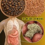 Cómoda Expulsión de Parásitos Intestinales: Remedios Naturales Efectivos