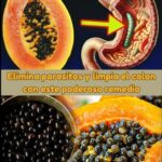 Receta Natural con Papaya y Semillas para Desintoxicar el Colon