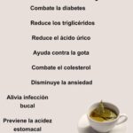 Beneficios del Té de Laurel: Una Bebida Natural para Tu Bienestar