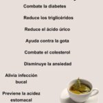 Té de Laurel: Un Aliado Natural para la Salud