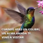 El Significado Espiritual del Colibrí y su Conexión con los Remedios Naturales