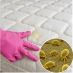 El Truco para Limpiar un Colchón: Eliminar Manchas, Ácaros y Malos Olores