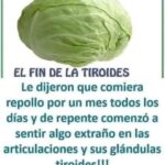 El Repollo: Beneficios y Riesgos para la Tiroides y las Articulaciones