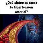 Entendiendo la Hipertensión Arterial: Síntomas, Causas y Remedios Naturales