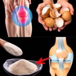 ¡No tires más tus cáscaras de huevo! Descubre sus increíbles beneficios para la salud