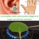 Beneficios Sorprendentes de Poner Hoja de Orégano al Fuego
