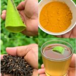 Remedios Naturales: Una Receta del Dr. Frank Suárez para la Salud