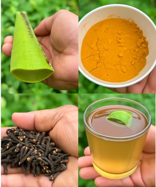 Ingredientes para remedio casero: Aloe Vera, Cúrcuma y Clavos de Olor