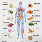 15 Alimentos Poderosos Que Fortalecen Naturalmente Tu Sistema Inmunológico