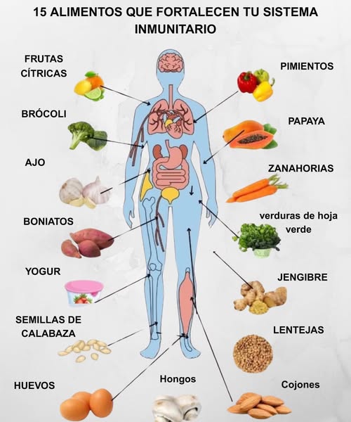 Alimentos que estimulan el sistema inmunológico