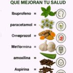 6 Hierbas Medicinales que Mejoran Tu Salud: Remedios Naturales para el Bienestar