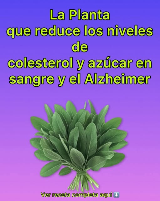 Planta de Salvia