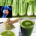 Consume Jugo de Apio Durante 7 Días y Sorpréndete con sus Beneficios