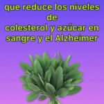 Refrescante Licuado de Nopal con Piña y Apio: Energía Natural y Saludable