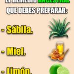 El Poder del Remedio Ancestral: Sábila, Miel y Limón