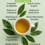 La Magia del Té de Laurel: Un Remedio Natural para la Salud
