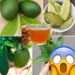 Recetas Naturales para Combatir la Diabetes, Cáncer y Más