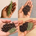 Increíble Mezcla de Romero y Clavo de Olor: Beneficios, Recetas y Más
