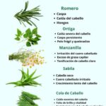 Hierbas Naturales para un Cabello Largo, Brillante y Saludable
