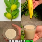 Receta Saludable: Mezcla de Hoja de Guayaba y Avena para Potenciar tu Bienestar