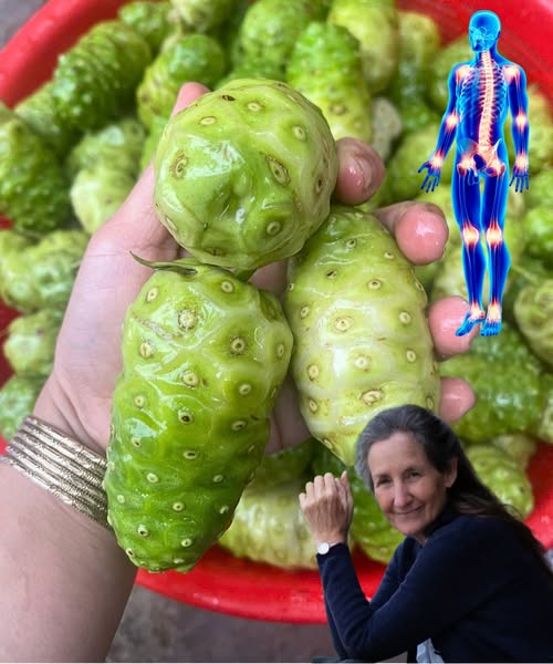 Frutas de Noni