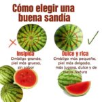 Cómo Elegir la Sandía Perfecta: Guía para Encontrar la Más Dulce y Jugosa