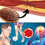 1 Cucharada al Día: Mezcla Natural para Prevenir Coágulos de Sangre y Mejorar la Salud Cardiovascular