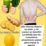 Alivia el Dolor de Riñones de Forma Natural con Remedios Caseros