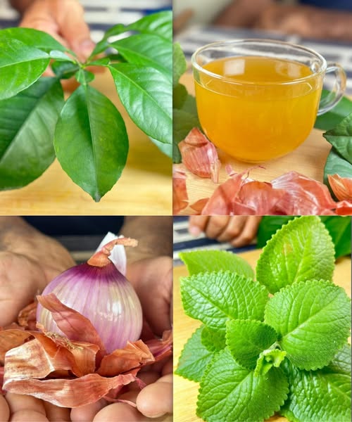 Ingredientes naturales para remedios caseros