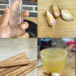 Remedio Natural para Combatir Células Cancerígenas con Aloe Vera, Ajo y Canela