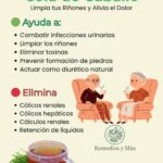Limpia Tus Riñones y Alivia el Dolor con Cola de Caballo