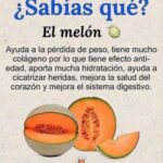 Los Incontables Beneficios del Melón: Una Fruta para la Salud y el Bienestar