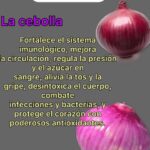 Descubre los Beneficios del Agua de Cebolla para Tu Salud