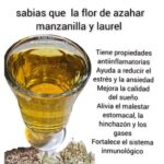 Increíbles Beneficios de la Flor de Azahar, Manzanilla y Laurel para tu Bienestar