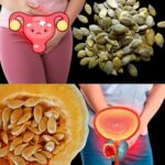 Las Semillas de Calabaza: Un Remedio Natural para la Salud Urogenital