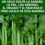 Los Poderosos Beneficios del Apio para Limpiar Tu Organismo