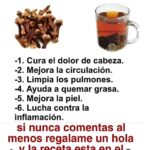 El Poder del Té de Clavo: Alivio Natural para Dolores e Inflamaciones