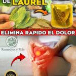 Descubre los Beneficios del Aceite Casero de Laurel para Aliviar Dolores