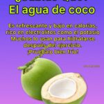 Beneficios del Agua de Coco: Tu Hidratación Natural