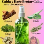 Mezcla Natural para el Cabello: ¡Detén la Caída y Estimula el Crecimiento!