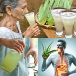 11 Razones para Beber Agua de Sábila (Aloe Vera) Todos los Días