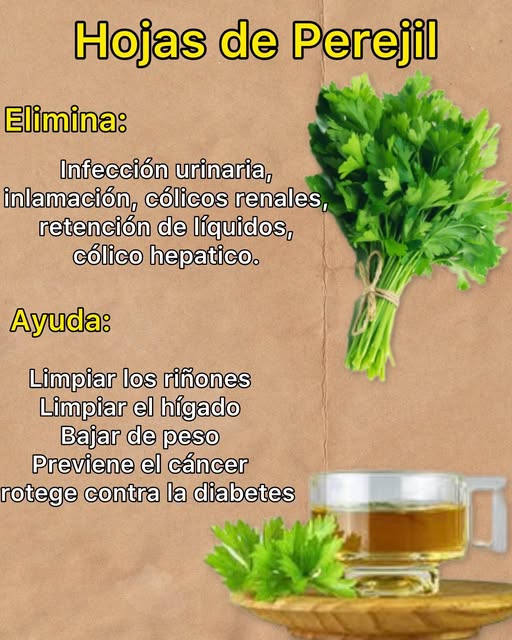 Té de Hojas de Perejil