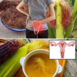 Infusión de Sedas de Maíz: Un Remedio Natural para el Alivio del Dolor
