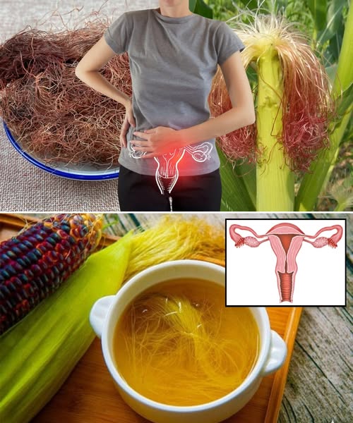 Infusión de Sedas de Maíz