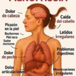 Menopausia: Cómo se Siente y Consejos para Vivirla Felizmente