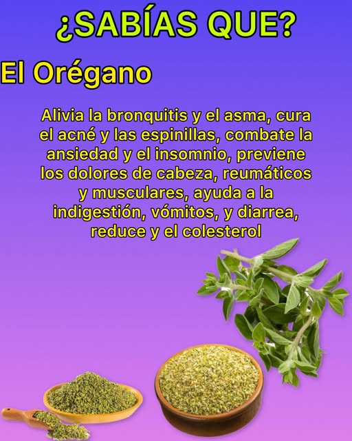 Hojas de orégano fresco y recipientes de orégano en polvo y seco
