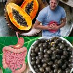 Descubre los 30 Beneficios de las Semillas de Papaya y una Receta Saludable