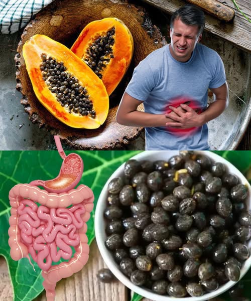 Semillas de papaya