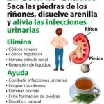 Infusión de Cola de Caballo y Perejil: Tu Aliado Natural para la Salud Renal